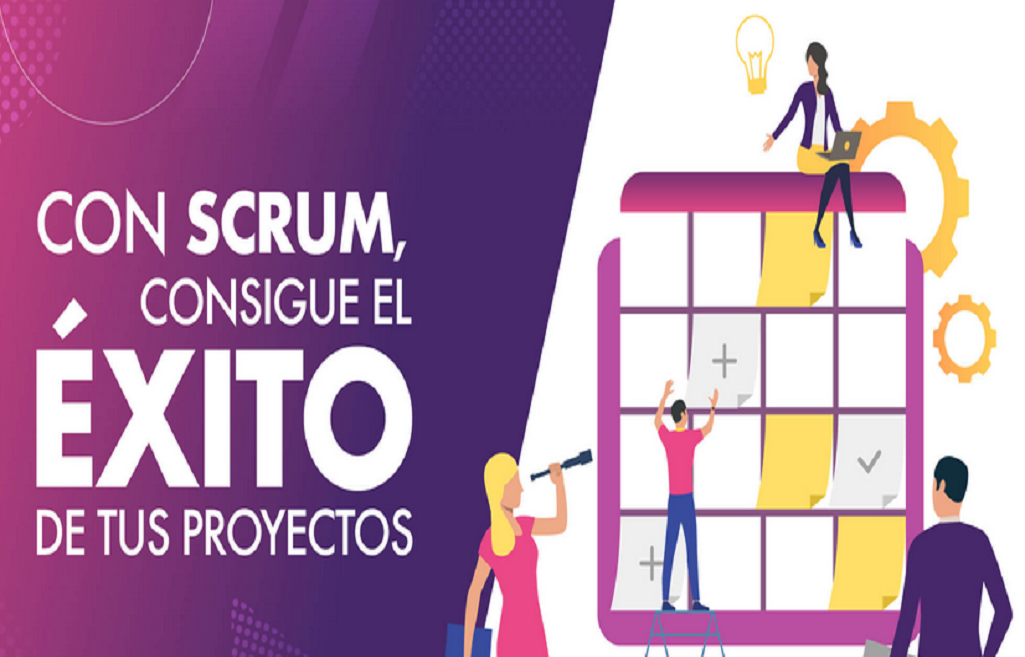 ¿Cuándo gestión de proyectos y cuando gestión de desarrollo de software?